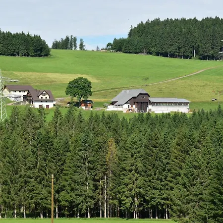 Duerrenbartleshof Apartment Breitnau Exterior photo