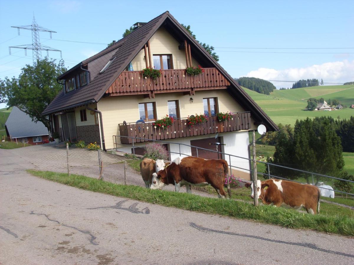 Duerrenbartleshof * Breitnau